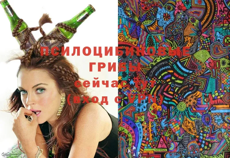 где можно купить   Нижняя Тура  Псилоцибиновые грибы Psilocybine cubensis 